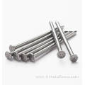 Low Carbon Steel Common Nails Galvanized Nails